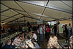 037.jpg