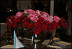 050.jpg