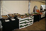 114.jpg