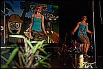 036.jpg