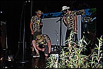 043.jpg
