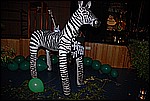 075.jpg