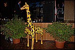 076.jpg