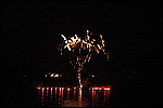 072.jpg