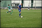 041.jpg