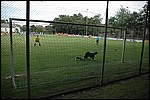 081.jpg