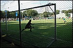 114.jpg