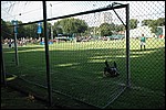 115.jpg