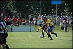 136.jpg