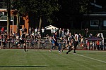 080.jpg