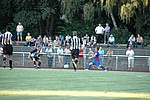 119.jpg