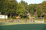 129.jpg