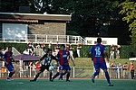 144.jpg