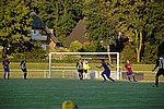 163.jpg