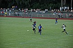 195.jpg