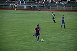 203.jpg