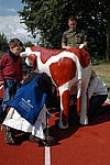 031.jpg