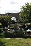 116.jpg