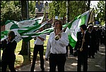 IMG_7005.JPG