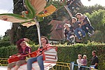 009.jpg
