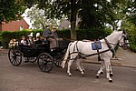 242.jpg