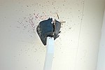 054.jpg