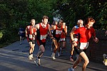 260.jpg
