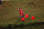 037.jpg
