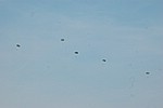 065.jpg