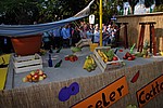 071.jpg