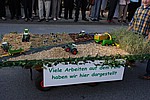 081.jpg