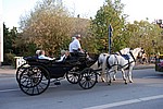 167.jpg