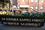 226.jpg