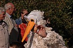 055.jpg