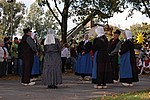 154.jpg