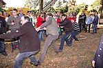 183.jpg