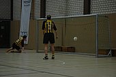 044.jpg