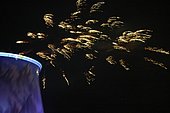 069.jpg