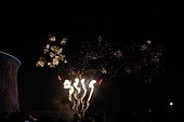 070.jpg
